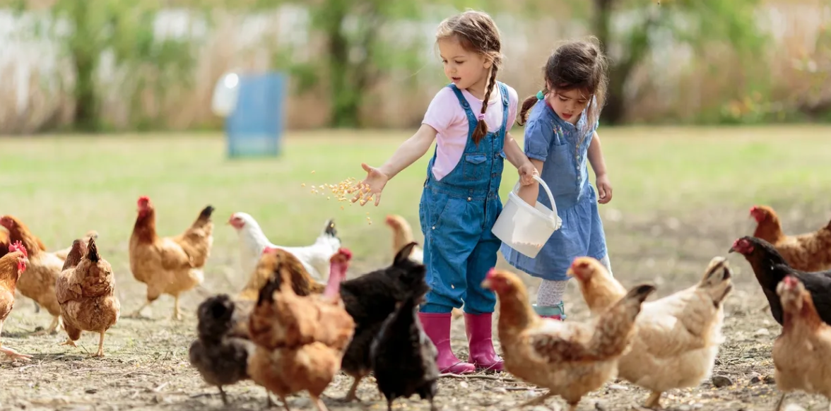 DeLeon Springs Farm Swap